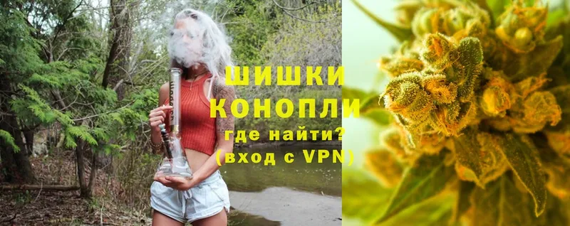 Бошки Шишки SATIVA & INDICA  блэк спрут маркетплейс  Гуково  где купить наркотик 